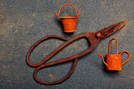 image of water can, bucket and scissors