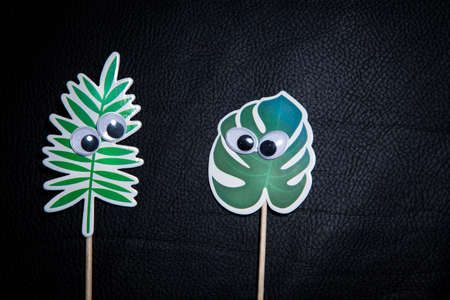 image of paper plant dark backgroundの写真素材