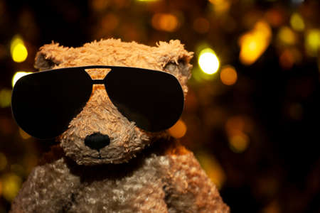 image of toy bear sunglasses