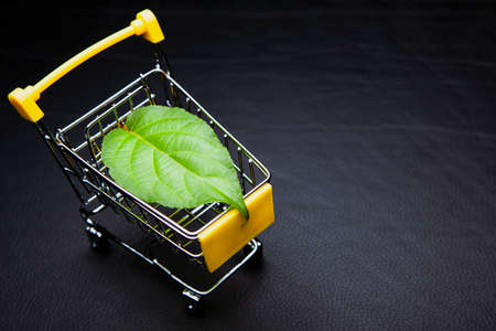 image of trolley leaf dark background