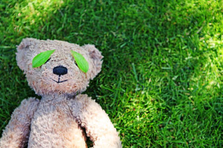 image of bear leaf grass backgroundの写真素材