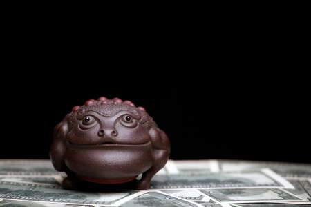 image of toad money dark backgroundの写真素材