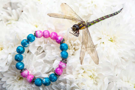image of bracelet dragonfly flower backgroundの写真素材