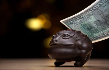 image of toad money dark backgroundの写真素材