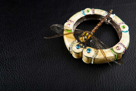 image of bracelet dragonfly dark leather backgroundの写真素材