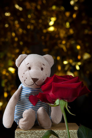 image of flower toy bear dark backgroundの写真素材