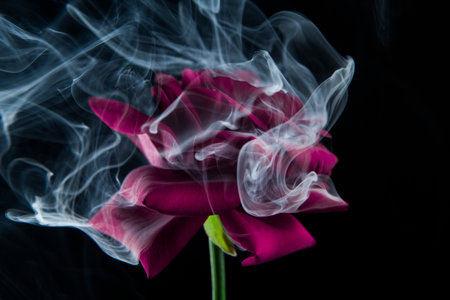 image of flower smoke dark backgroundの写真素材