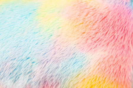 image of rainbow plush backgroundの写真素材