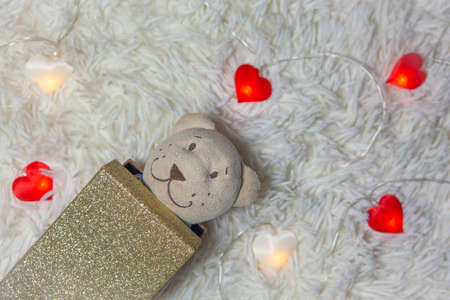 image of toy bear garland carpet backgroundの写真素材