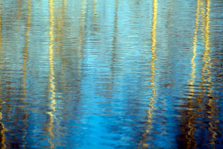 image of water tree reflection