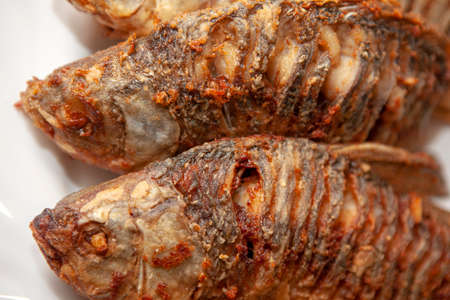image of fried fish background