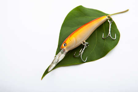 image of fishing bait leaf white background