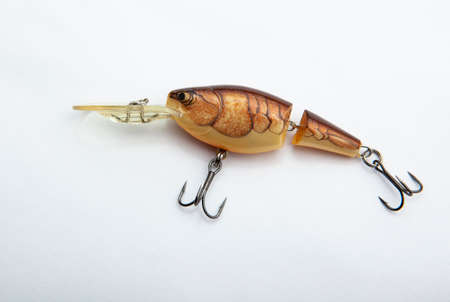 image of fishing bait white backgroundの写真素材