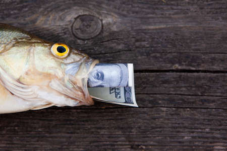 image of fish money wooden desk