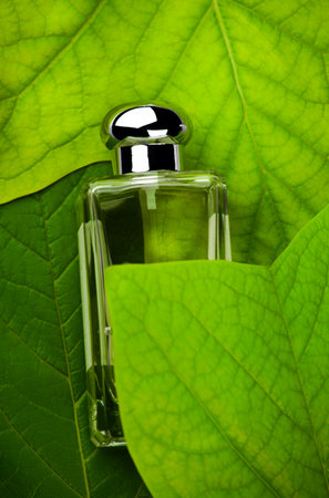 image of glass perfume bottle leafの写真素材