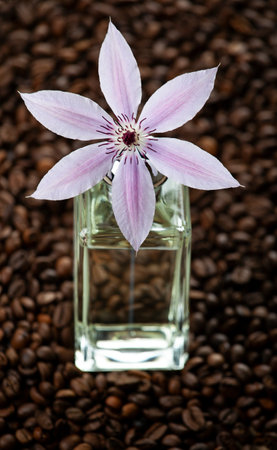 image of glass perfume bottle flower coffeeの写真素材