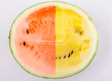 image of watermelon fruit backgroundの写真素材