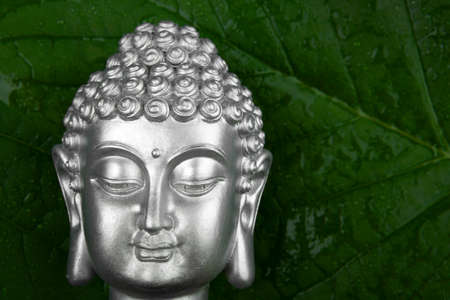 image of buddha head green leafの写真素材