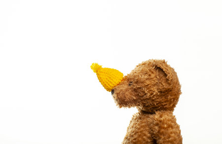 image of toy bear white backgroundの写真素材