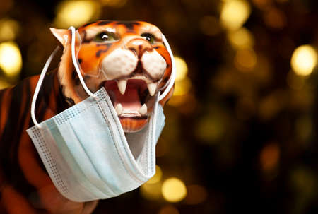 image of tiger mask dark background