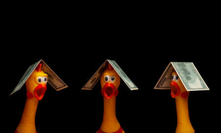 image of rubber chicken money dark backgroundの写真素材