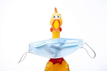 image of mask rubber chicken white backgroundの写真素材