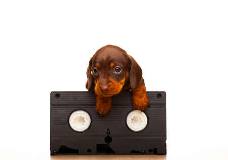 image of dog vhs tape white background