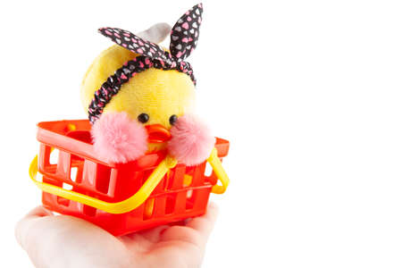 image of toy duck basket hand white background