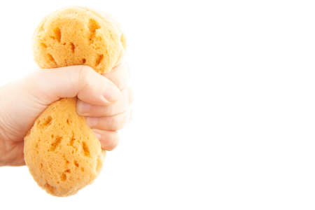 image of sponge hand white backgroundの写真素材