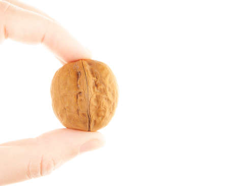 image of walnut hand white backgroundの写真素材