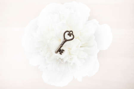 image of key flower water dropの写真素材