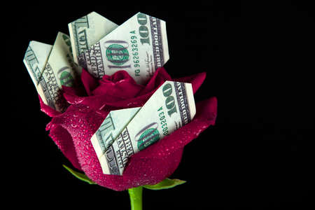 image of flower money dark backgroundの写真素材