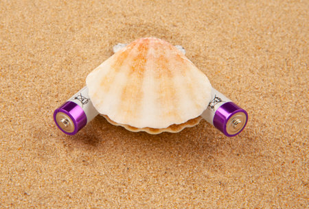 battery seashell sand background