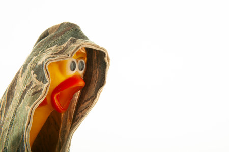 image of rubber chicken camouflage textile white backgroundの写真素材