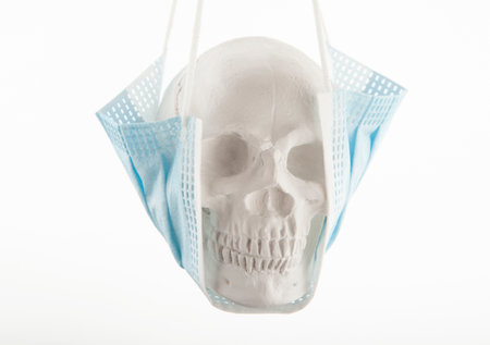 image of skull white background