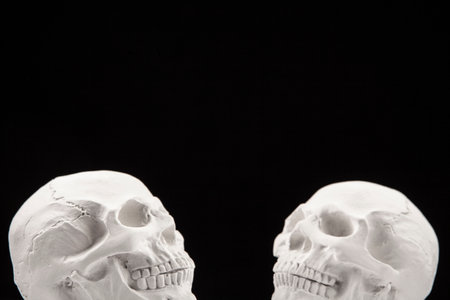 image of skulls on dark backgroundの写真素材