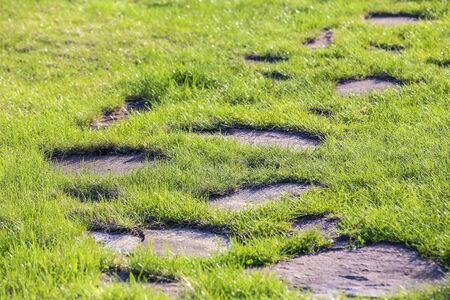 Stone pathway on green grass lawn.の写真素材