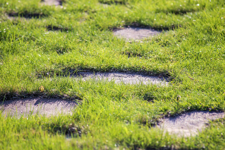 Stone pathway on green grass lawn.の写真素材