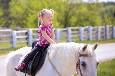 Little girl riding a white horse.の写真素材