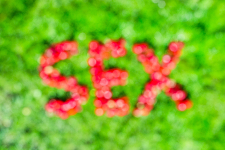 Word "sex" made of strawberries on a green lawn. Blurred.の写真素材
