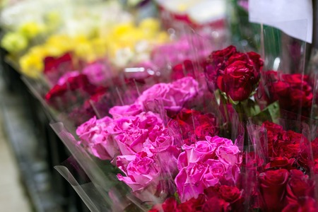 Beautiful fresh red roses at flowermarket. Wholesale flower shop. Retail and gross cut flower store concept.の写真素材