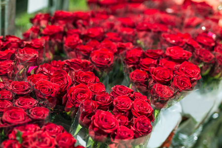 Beautiful fresh red roses at flowermarket. Wholesale flower shop. Retail and gross cut flower store concept.の写真素材