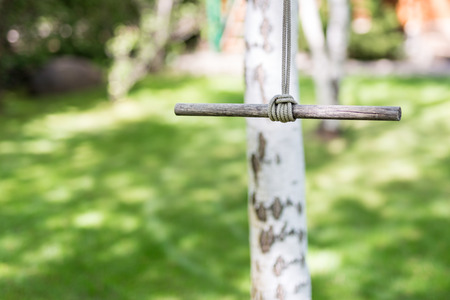 Wooden single rope swing in garden on bright sunny day. Green grass lawn on background. Children having fun and summer activity conceptの写真素材