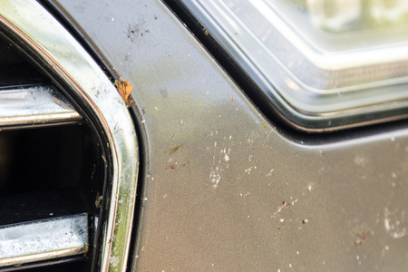 Close-up of car front bumper with many smashed insects. High speed drive.  の写真素材