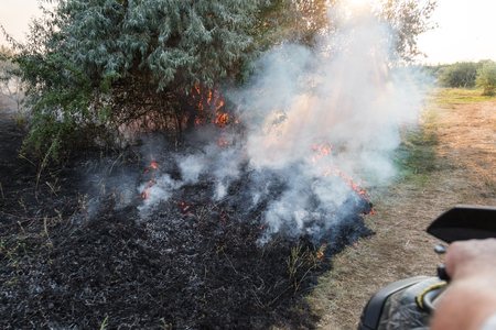 Forest wildfire. Burning field of dry grass and trees. Heavy smoke against blue sky. Wild fire due to hot windy weather in summer. rescuer inspecting disaster area by atv quad bike. の写真素材