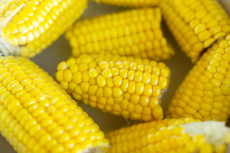 Sweet tasty organic boiled corn in pot. Natural bio ripe sweetcorn cereal. Healthy source of calcium, potassium, magnesium and iron. Yellow food background.の写真素材