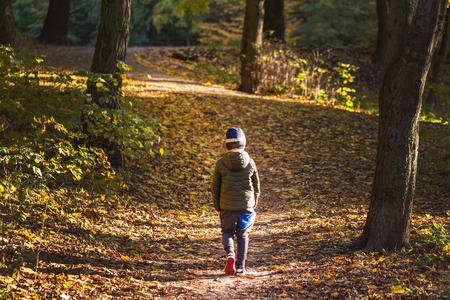 Little toddler boy walking alone through autumn forest. Path in life. Bullying in school concept....