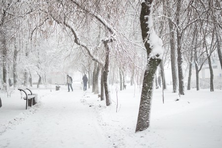 City park in winter. Walkway and benches covered with snow. Town recreation area after snowfall. Winter weather forecast. Heavy snowstorm and blizzard.の写真素材