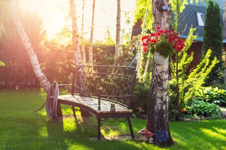 House backyard garden with bench, hanging blossoming flowers
watering hose anf trees. Warm summer or...