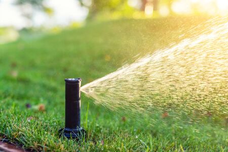 Close-up automatic garden watering system with different sprinklers installed under turf. Landscape design with lawn hills and fruit garden irrigated with smart autonomous sprayers at sunset time.の写真素材